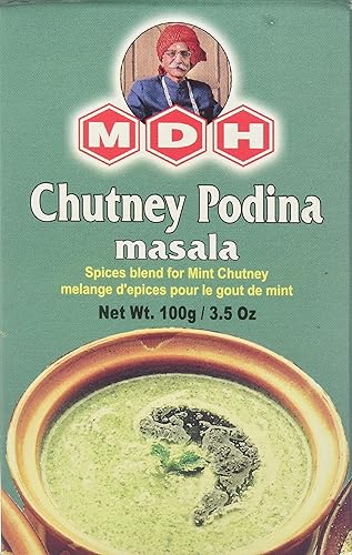 MDH Chutney Podina Masala - 100g_1