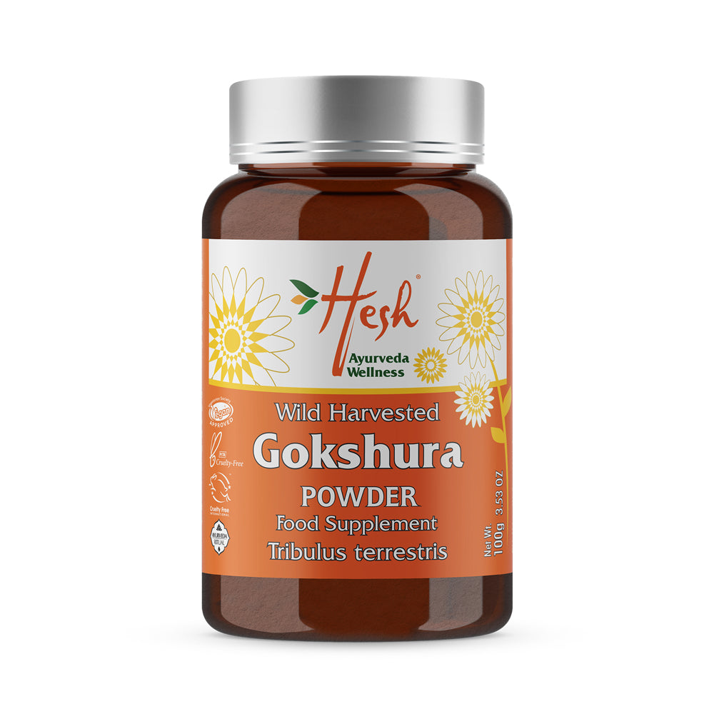 Hesh Gokshura Powder - 100g_1