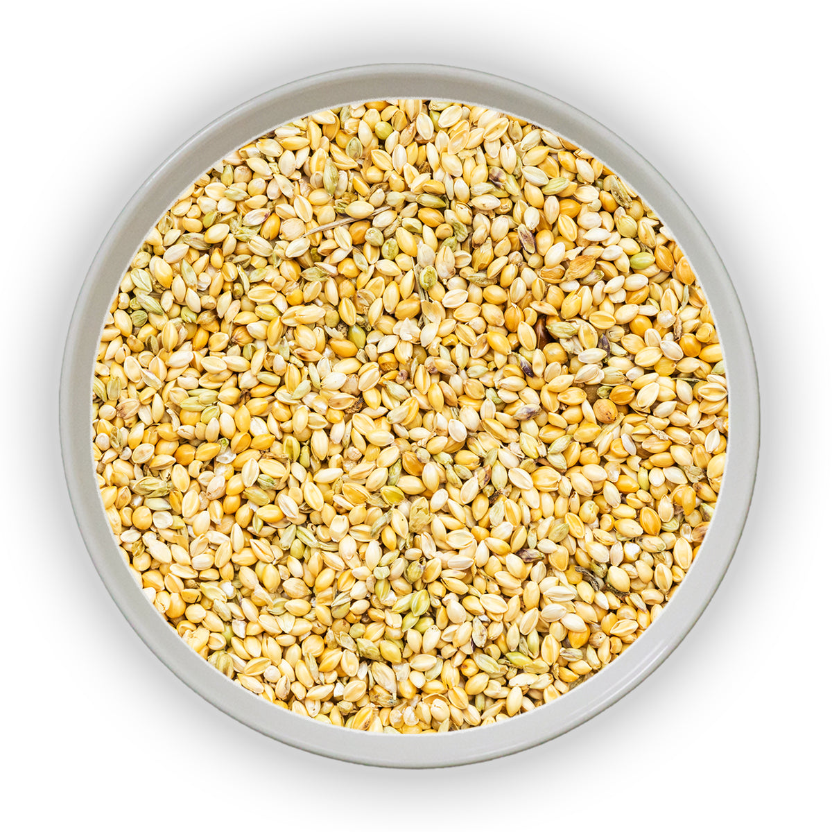 Jalpur Foxtail Millet Seeds (Kodri Millet)