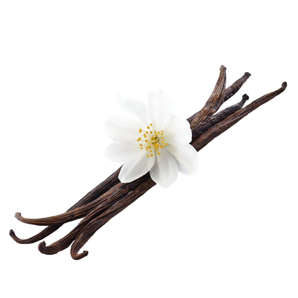 Jalpur Gourmet Madagascan Vanilla Pods (Vanilla Beans)