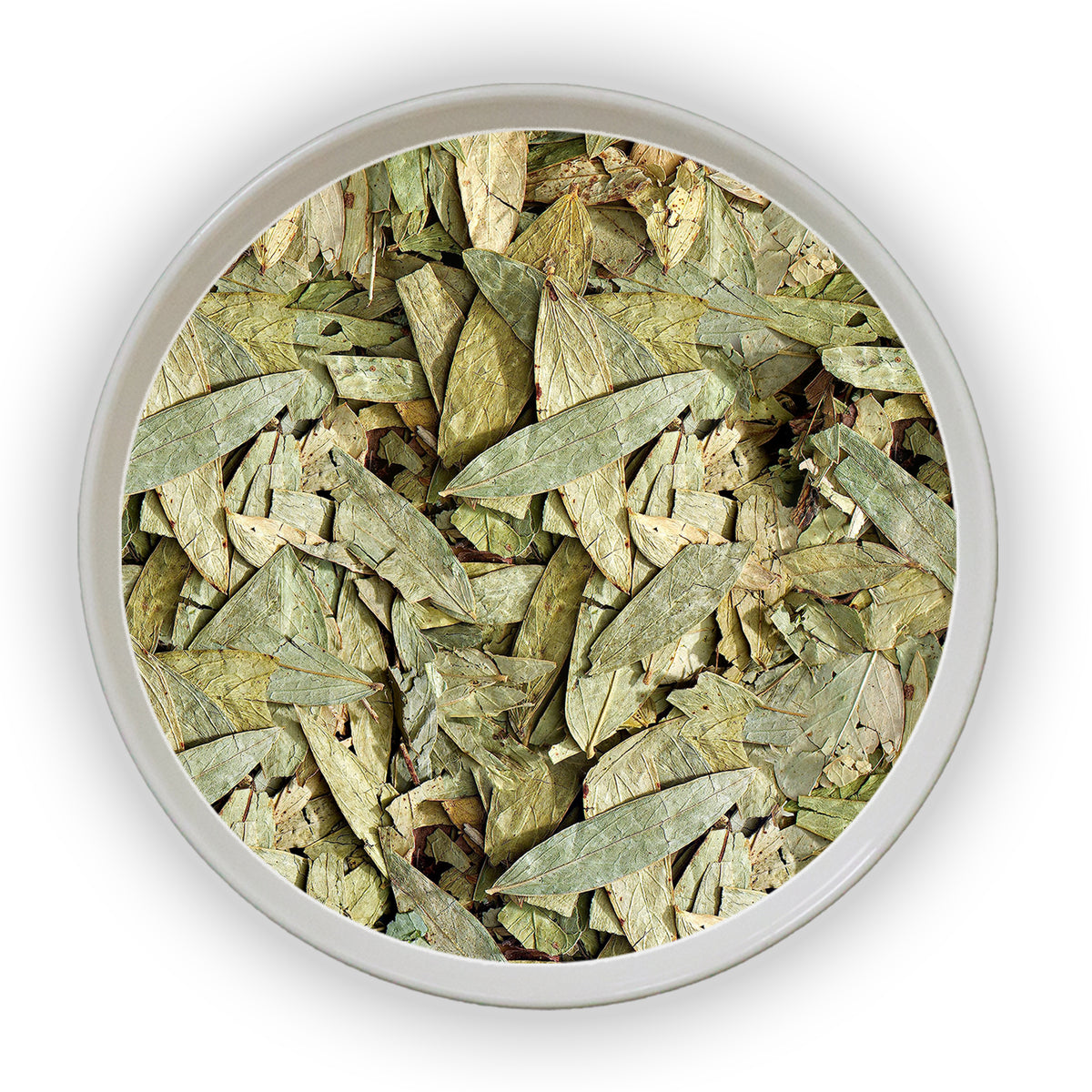 Jalpur Senna Leaves