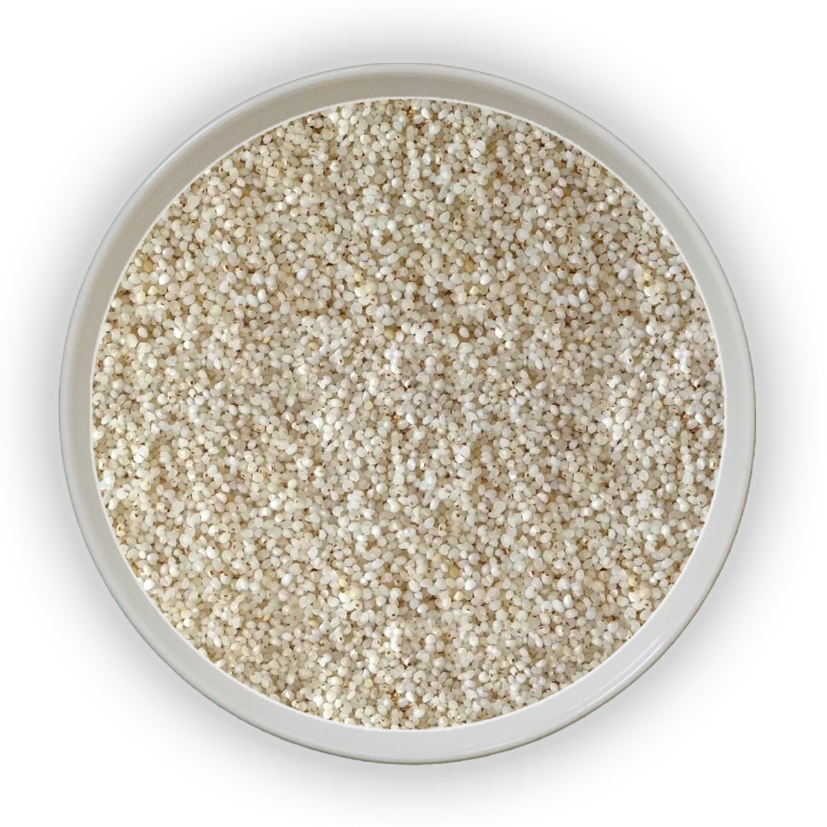 Jalpur Morio Seeds (samo)