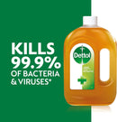 Dettol Antiseptic Liquid - 750ml_2
