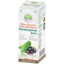 Aryan Karela Jamun Juice - 1000ml_1