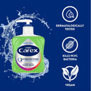 Carex Aloe Vera Antibacterial Hand Wash - 250ml_2