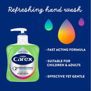 Carex Aloe Vera Antibacterial Hand Wash - 250ml_3