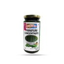 Ashoka Panipuri Concentrate - 250g_1
