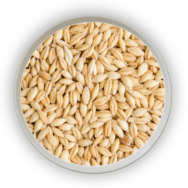 Jalpur Whole Barley - 150g