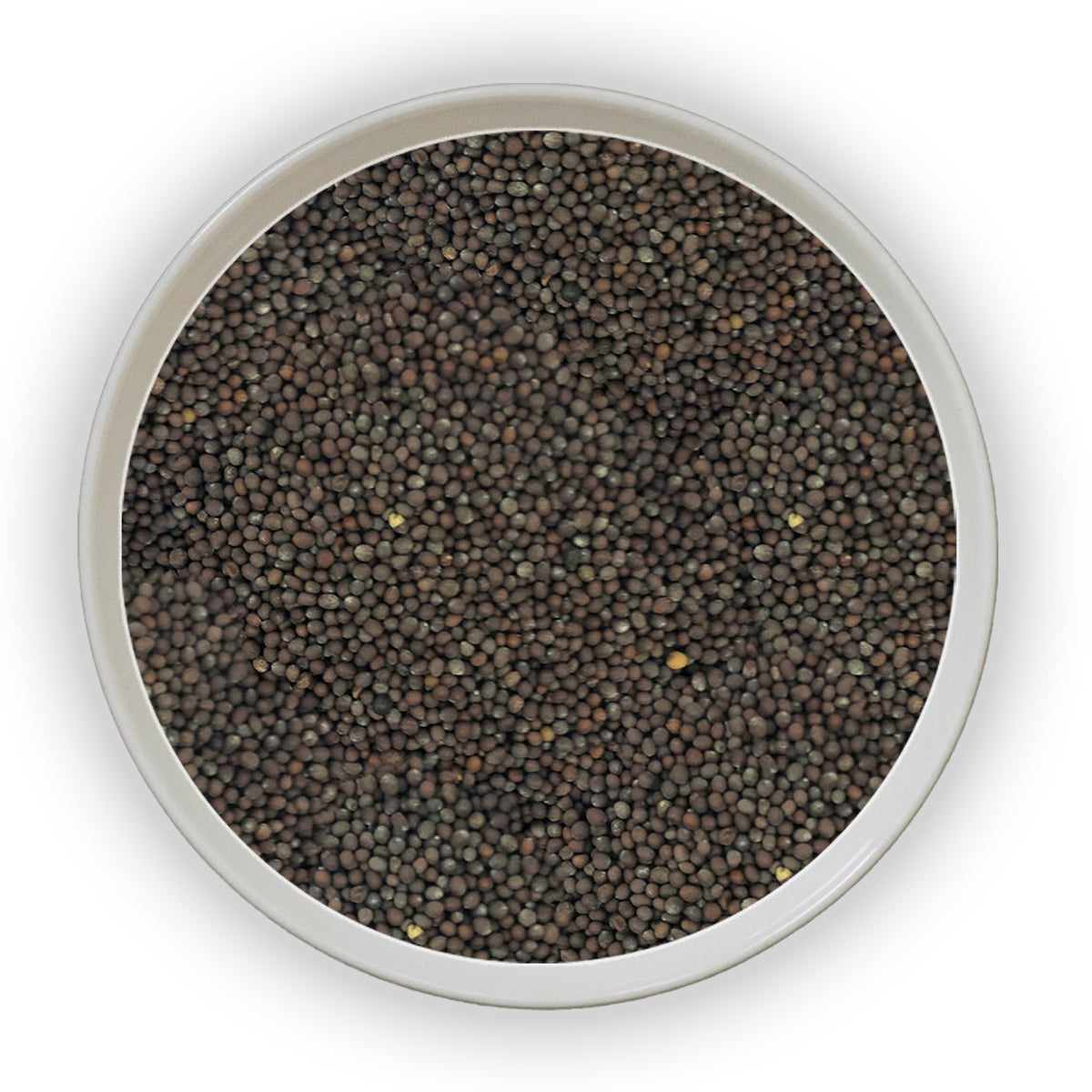 Jalpur Black Mustard Seeds