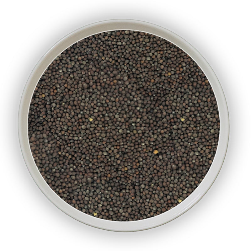 Jalpur Black Mustard Seeds