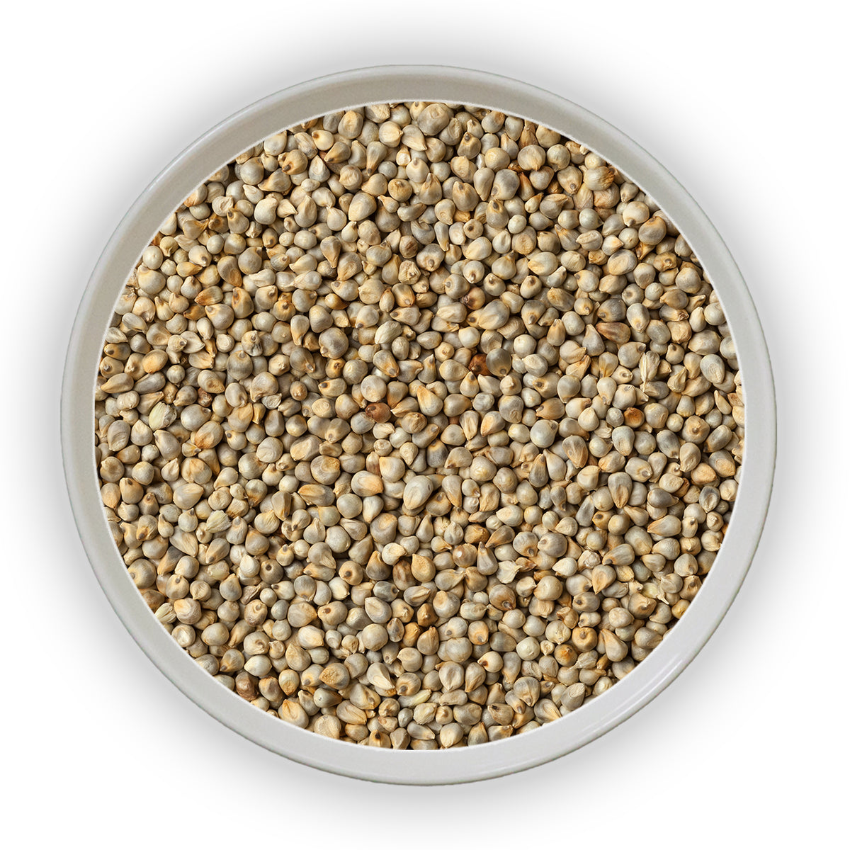 Jalpur - Whole Millet Seeds (Bajri Whole)
