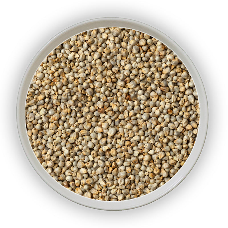 Jalpur - Whole Millet Seeds (Bajri Whole)