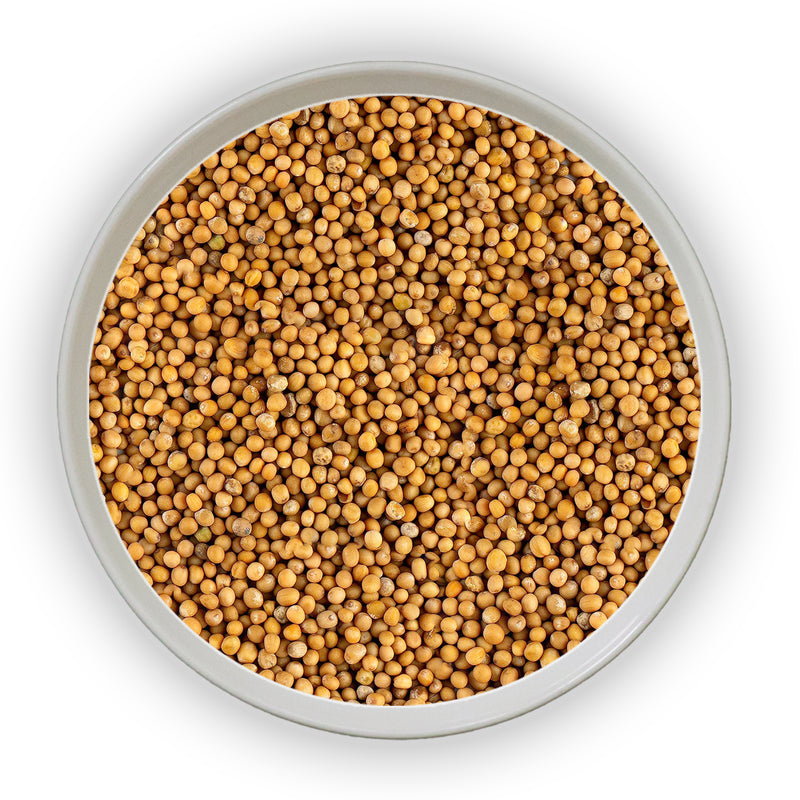 Jalpur Yellow Mustard Seeds