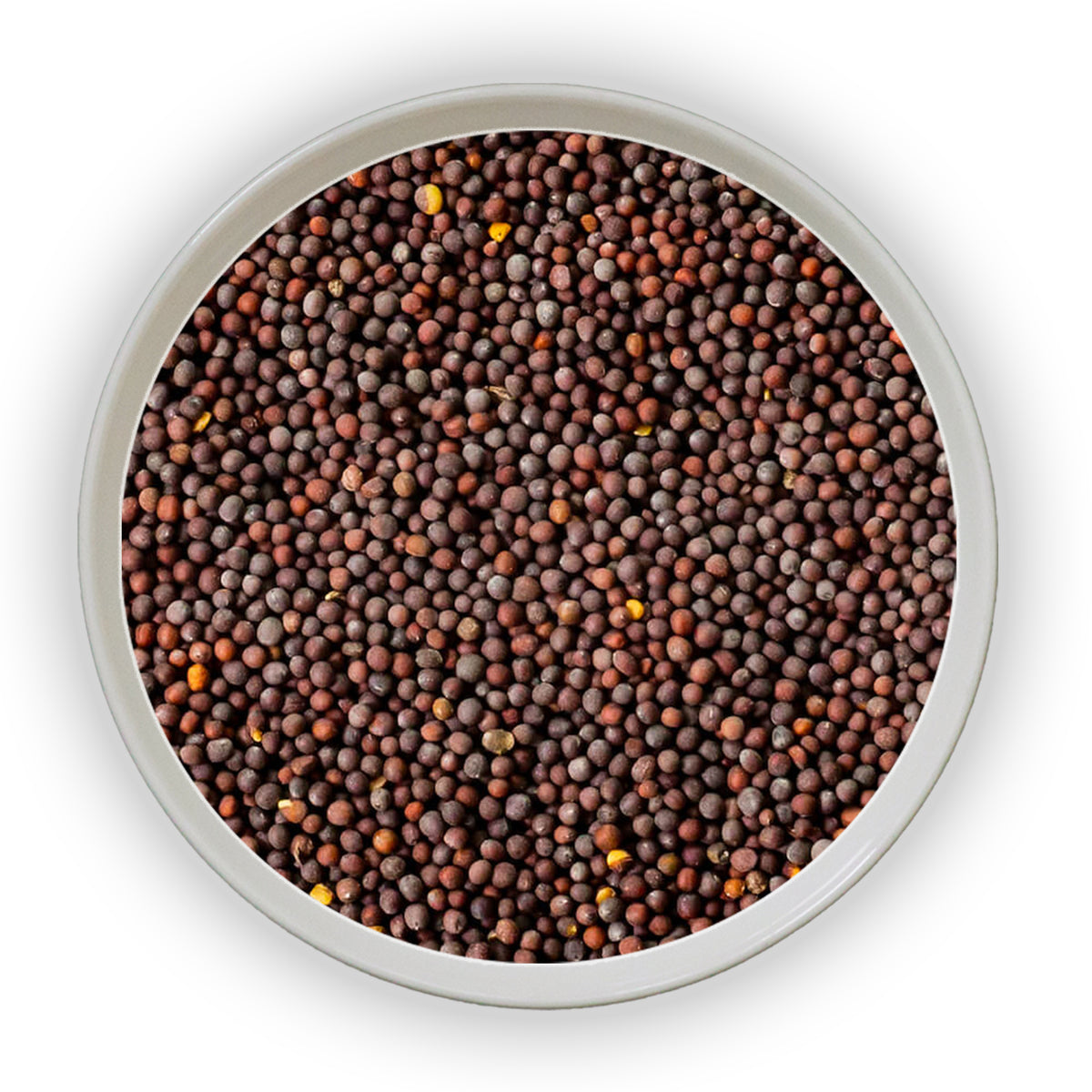 Jalpur Brown Mustard Seeds (Brown Rai)