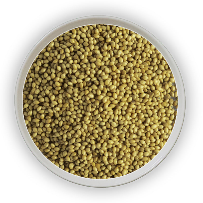 Jalpur Foxtail Millet Seeds