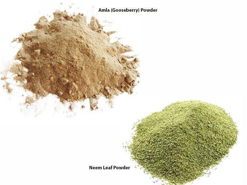 Jalpur Millers Spice Combo Pack - Neem Leaf Powder 100g - Amla Powder 100g (dry hog plum powder) (2 Pack) - Jalpur Millers Online