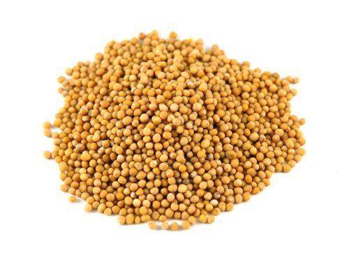 Jalpur Yellow Mustard Seeds - Jalpur Millers Online