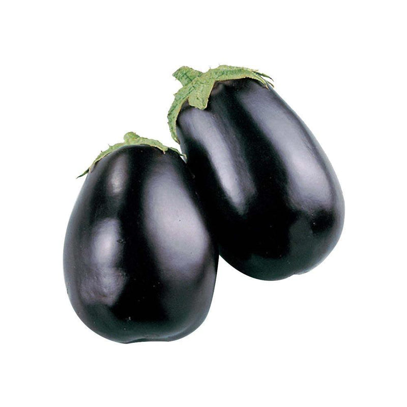 Black Beauty Aubergine - (Eggplant) - Jalpur Millers Online