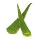 Fresh Aloe Vera - Jalpur Millers Online