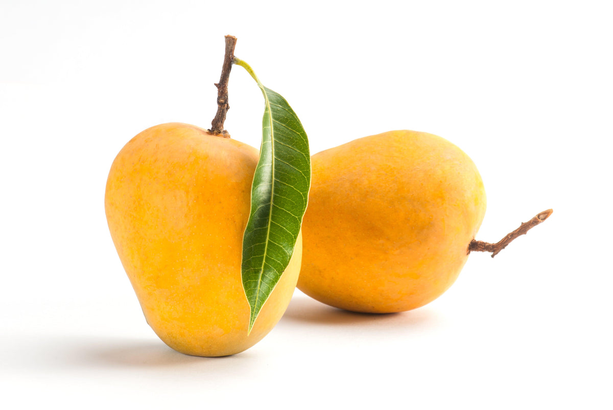 Alphonso Mangoes - Box of 12 - Jalpur Millers Online