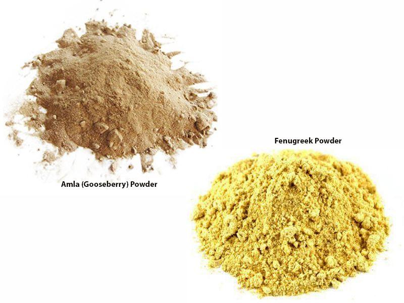 Jalpur Millers Spice Combo Pack - Fenugreek Powder 100g - Amla Powder 100g (dry hog plum powder) (2 Pack) - Jalpur Millers Online