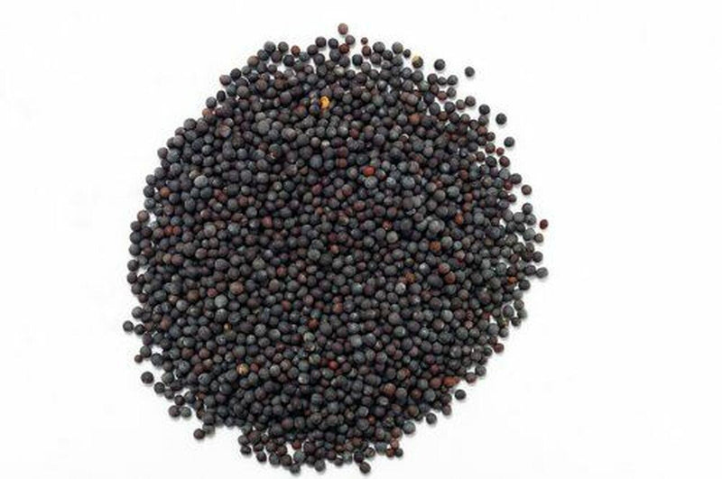 Jalpur Black Mustard Seeds - Jalpur Millers Online