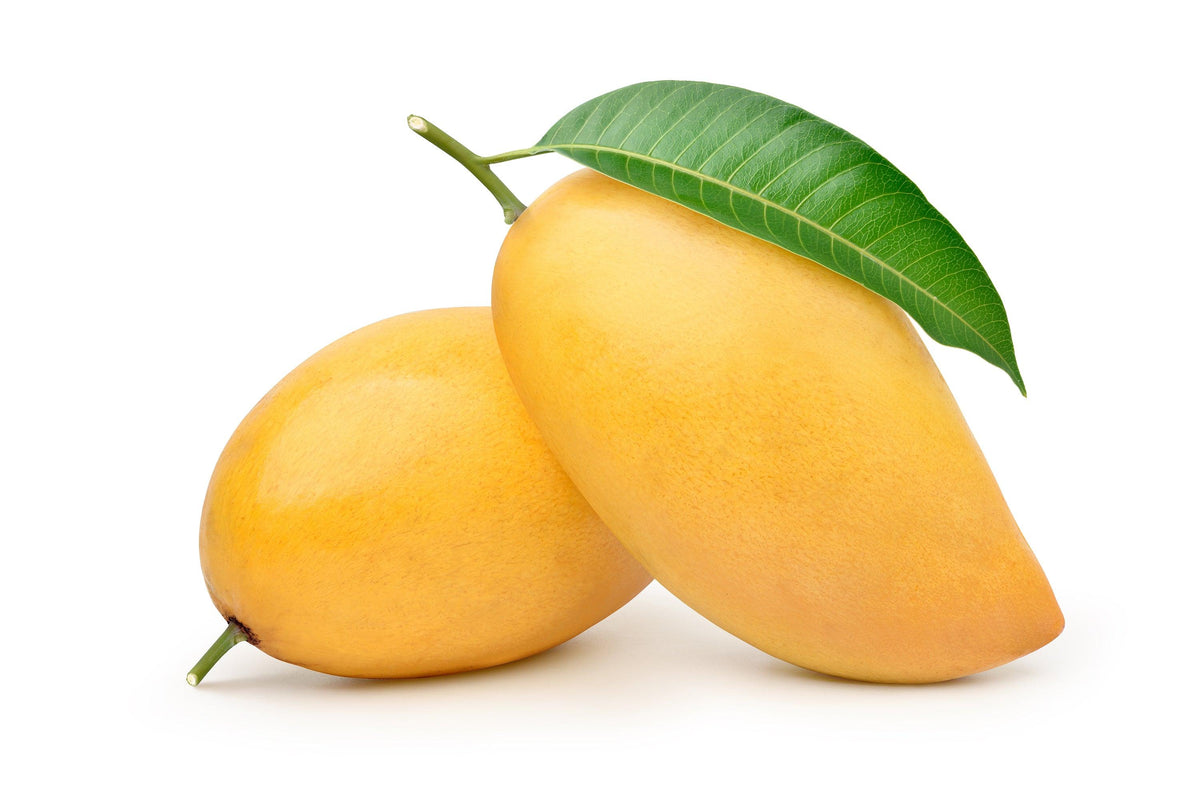 Kesar Mangoes - Box of 12 - Jalpur Millers Online