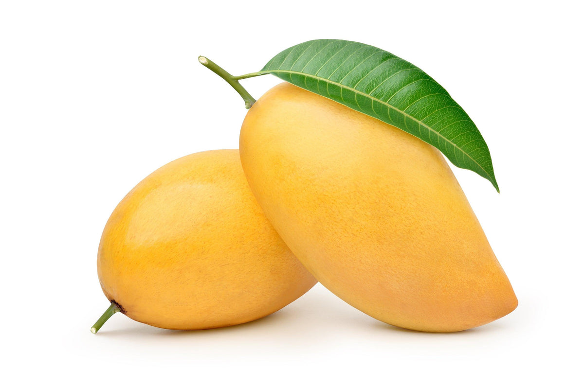 Kesar Mangoes - Box of 9 - Jalpur Millers Online