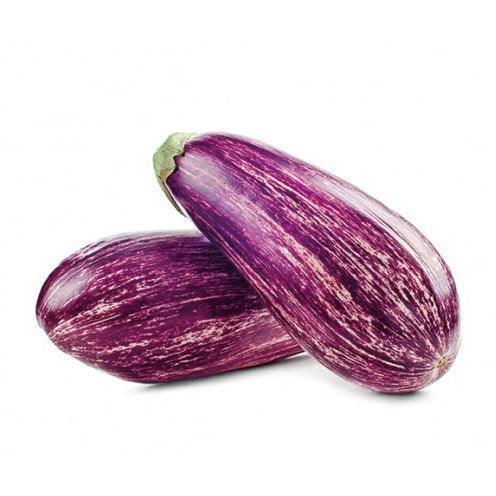 Dutch Stripe Aubergine - Jalpur Millers Online